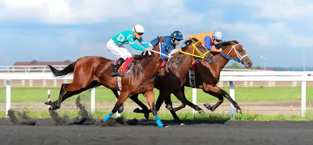 horse racing image