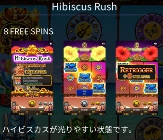 hibiscus rush hawaiian dream slot