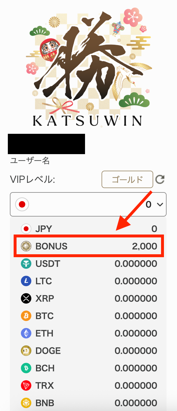 katsuwin img 3
